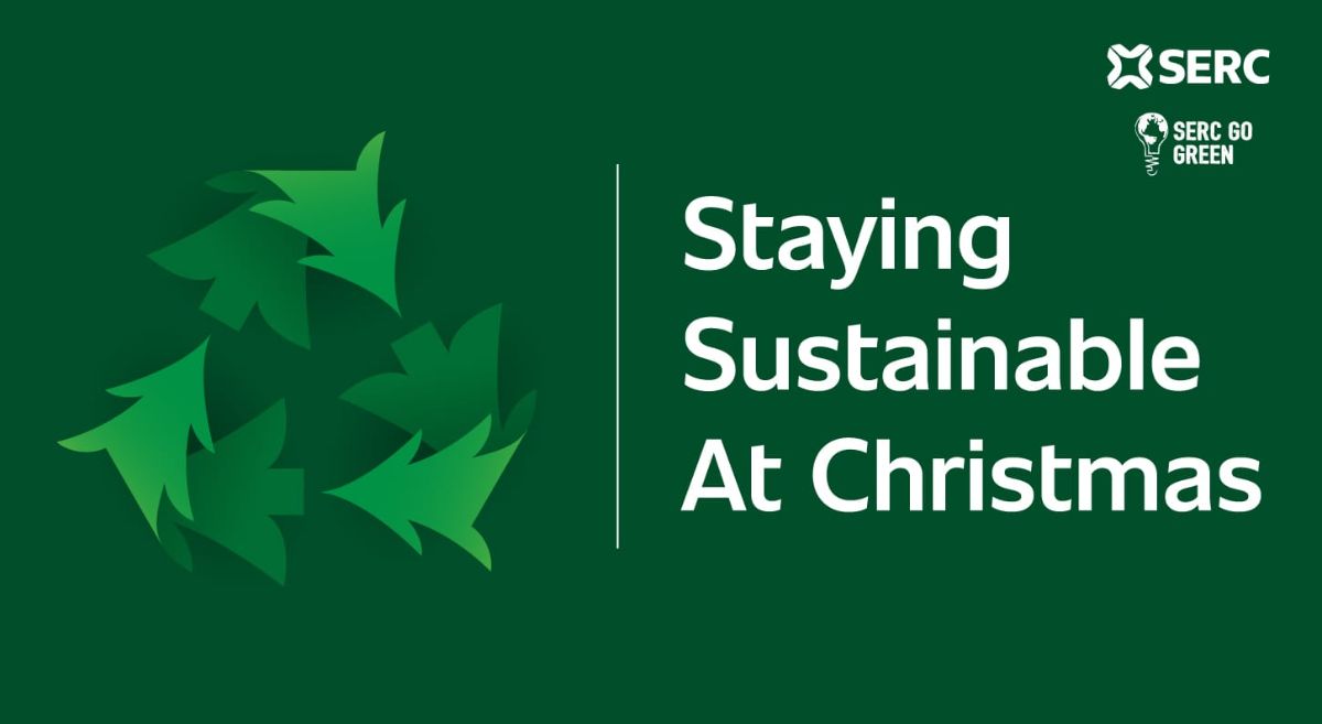 Staying Sustainable at Christmas